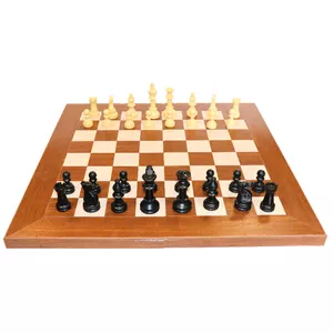 شطرنج مدل کژوال