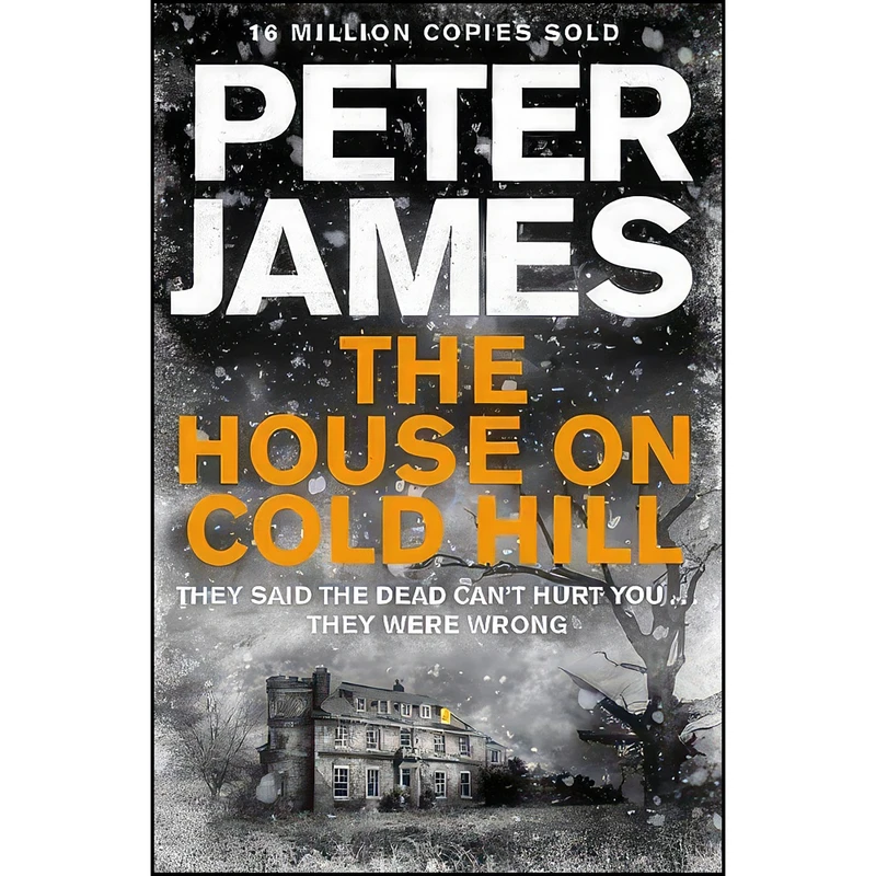 کتاب The House on Cold Hill اثر Peter James انتشارات Macmillan UK