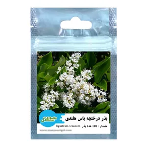 بذر درختچه یاس هلندی منصوری گل کد ML50 وزن 6 گرم