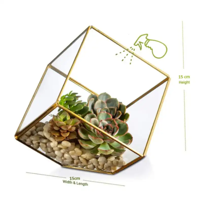 باکس شیشه ای مدل تراریوم مکعبی کد MT 126578