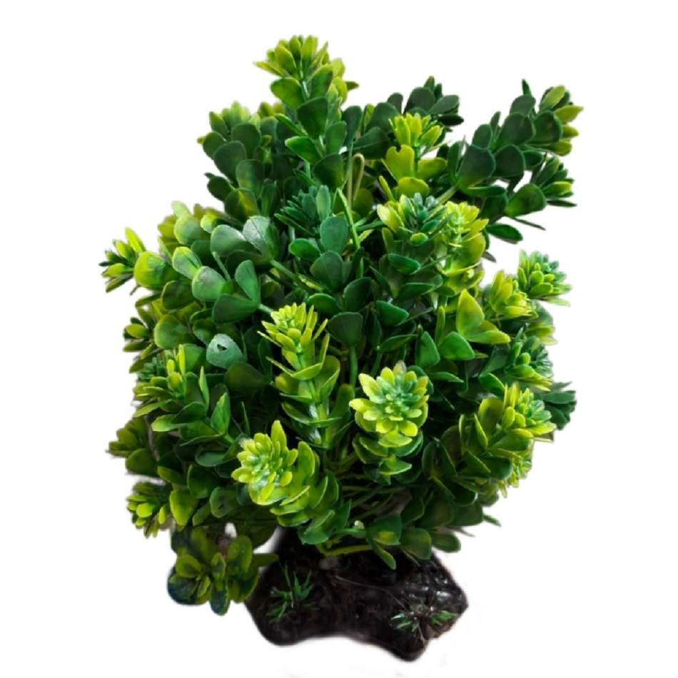 درختچه تزیینی آکواریوم مدل دریایی کد W11