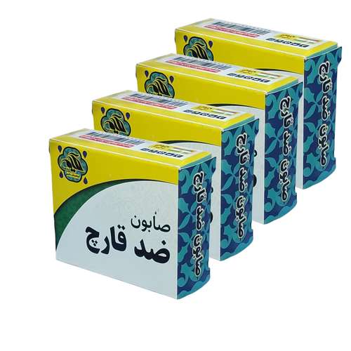 صابون شستشو گیاهستان حکیم مدل ضد قارچ وزن 70 گرم بسته 4 عددی