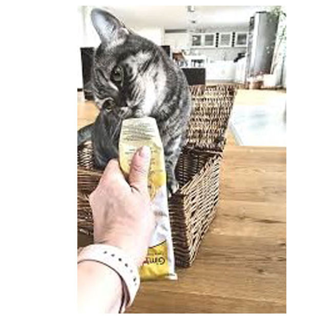 مالت گربه جیم کت مدل بیوتین پنیری وزن 50 گرم