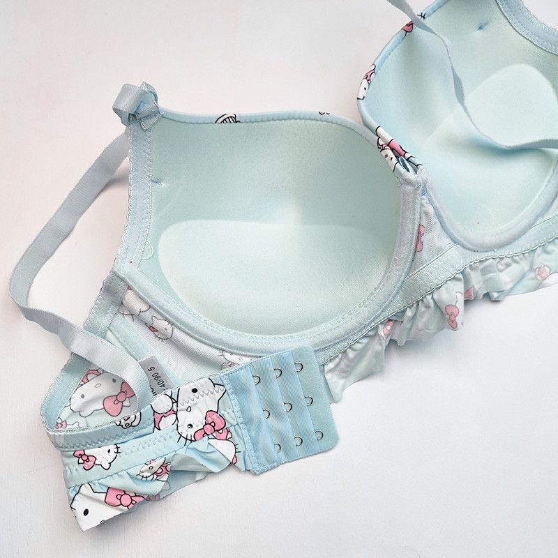 سوتین زنانه مدل پوش آپ طرح کیتی کد 88884s