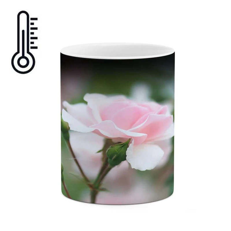 ماگ حرارتی کاکتی مدل گل کد mgh14415