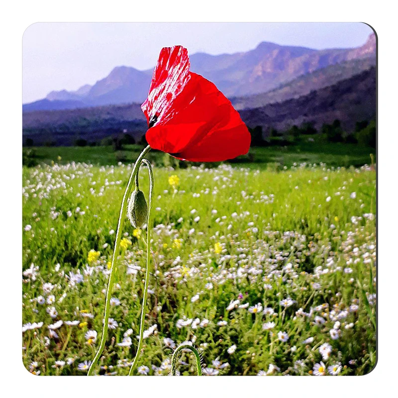 مگنت طرح گل شقایق کد NIM25