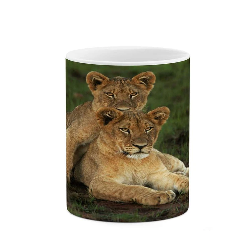 ماگ کاکتی مدل شیر کد mgh14275