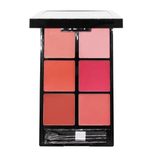 پالت رژ گونه رمانتیک برد مدل 6B V-Face Beauty Looks کد A