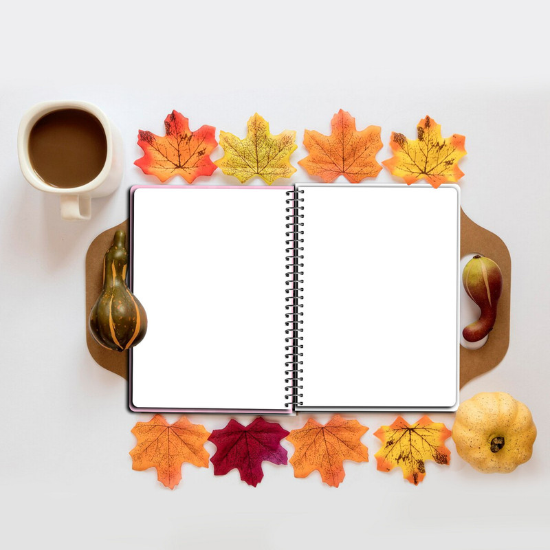 دفتر نقاشی مستر راد مدل کرومی کد fiory 2134