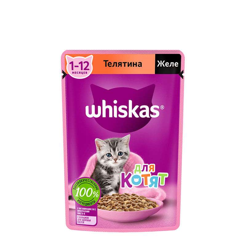 پوچ بچه گربه ویسکاس مدل گوساله در ژله وزن 75 گرم