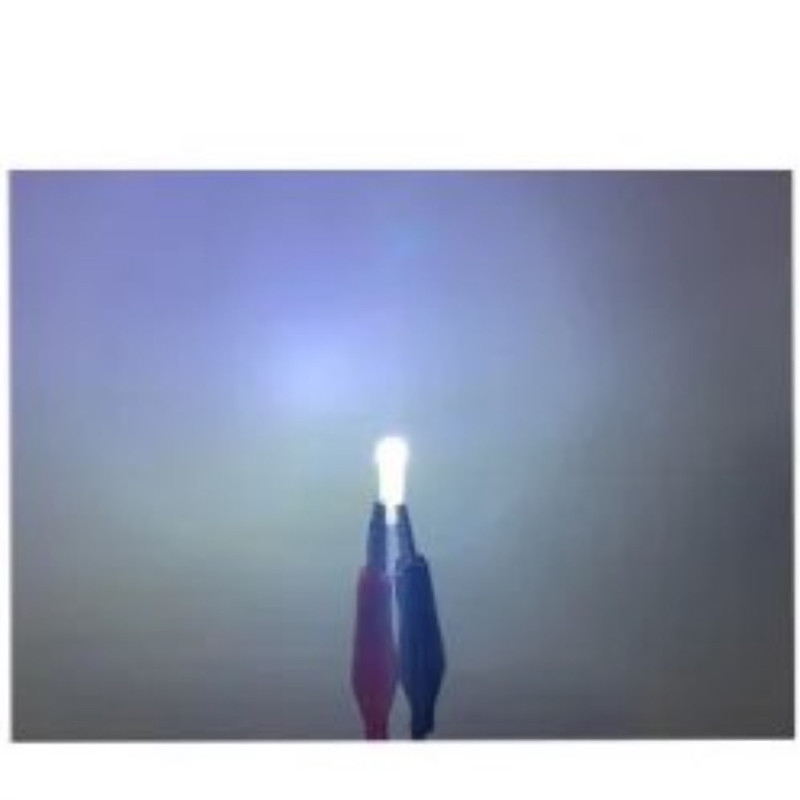لامپ پشت کیلومتر خودرو اچ اف دی مدل 1SMD-W بسته ده عددی