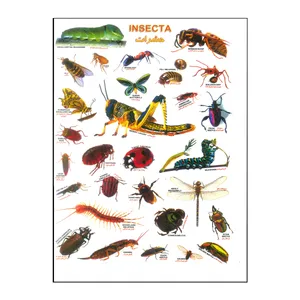 برچسب مدل حشرات کد 4454