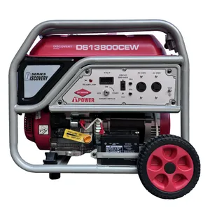 موتور برق بنزینی 16 اسب بخار ای پاور مدل DS13800CEW