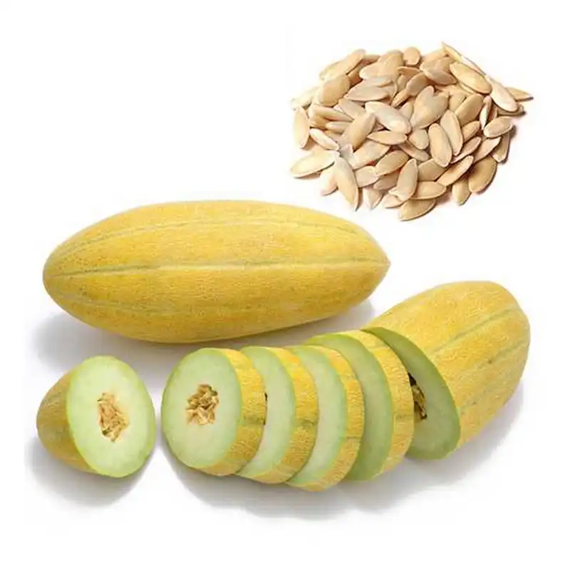 بذر خربزه خاتونی مشهدی فصل سبز کد FSSEED-037