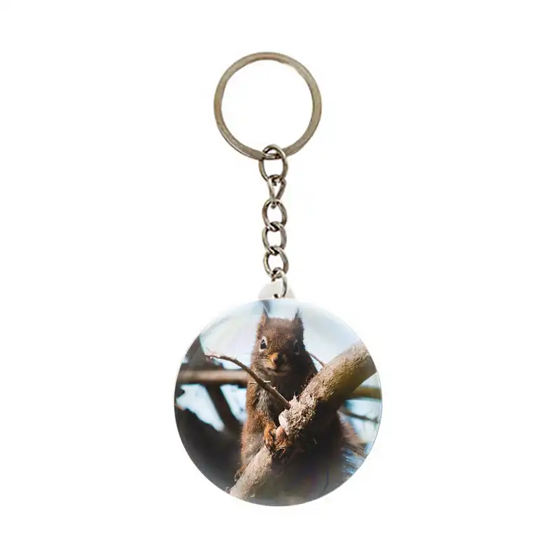 جاکلیدی عرش مدل فانتزی سنجاب کد Asj6097