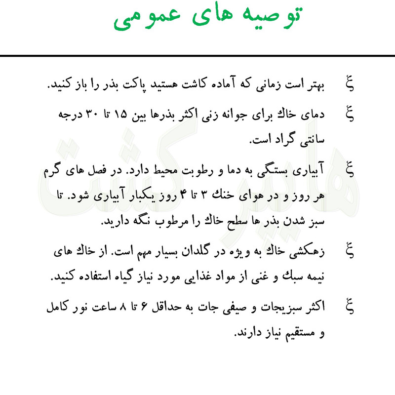 بذر گل همیشه بهار الوان گرین سیدز کد 260