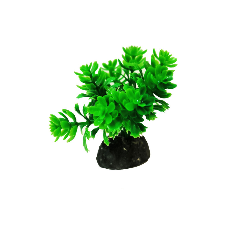 گیاه تزیینی آکواریوم کد VB09 مجموعه 10 عددی