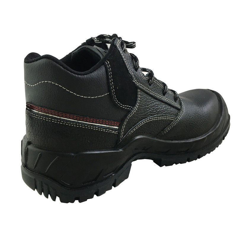 پوتین ایمنی مدل سپاستین