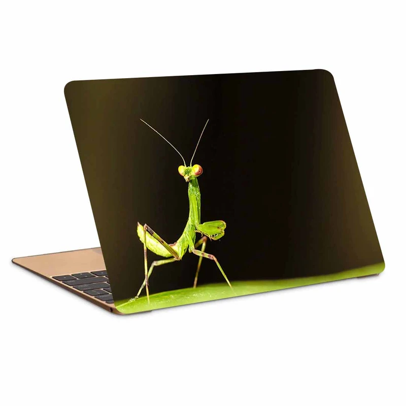 استیکر لپ تاپ طرح Mantisکد p-1187 مناسب برای لپ تاپ 15.6 اینچ 