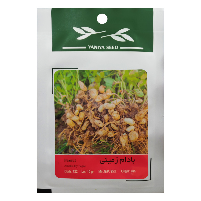 بذر بادام زمینی وانیا سید مدل T22 بذر بادام زمینی وانیا سید مدل T22