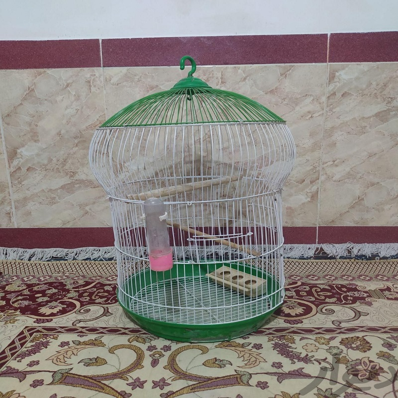 قفس پرندگان مدل استوانه ای