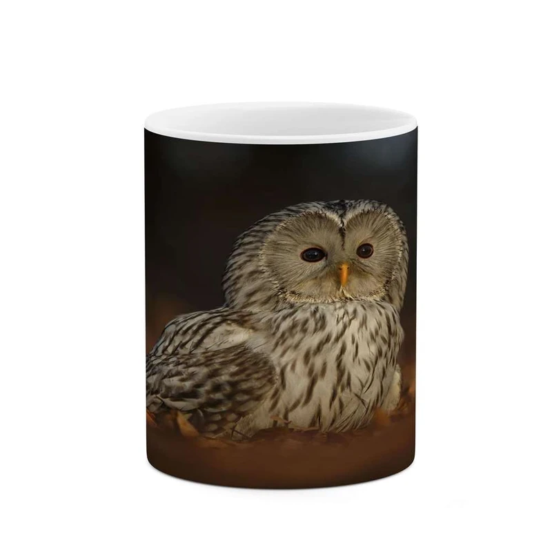 ماگ کاکتی مدل جغد کد mgh16732