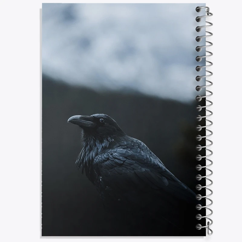 دفتر مشق 50 برگ خندالو طرح کلاغ کد F1210