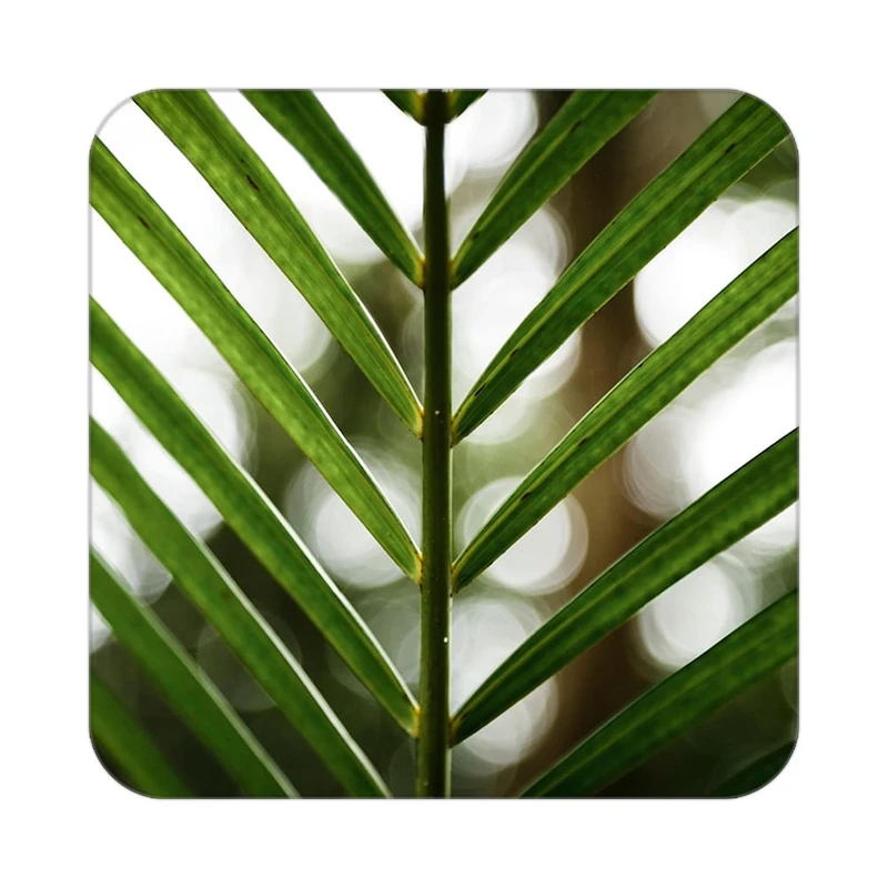 زیر لیوانی کاکتی طرح گل مدل mp16836