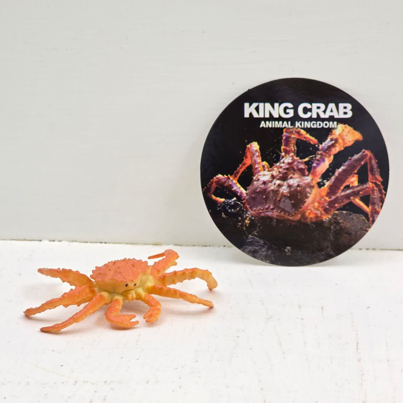 فیگور ناب سل مدل خرچنگ کد KING CRAB NAAB010 ارتفاع 3 سانتی متر