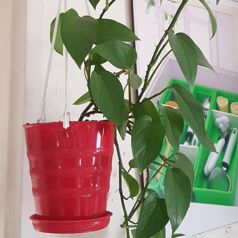 گلدان مدل 109