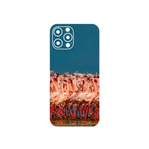 MAHOOT Flamingo Cover Sticker for Apple iPhone 12 Pro Max