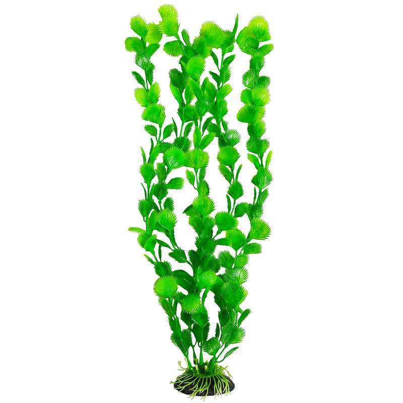 گیاه تزیینی آکواریوم کد 010