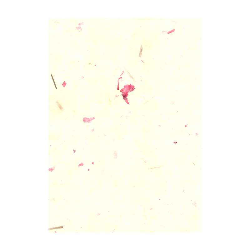 مقوا مدل گلبرگی کد hm180gp سایز 21x30 سانتی متر بسته 5 عددی مقوا مدل گلبرگی کد hm180gp سایز 21x30 سانتی متر بسته 5 عددی