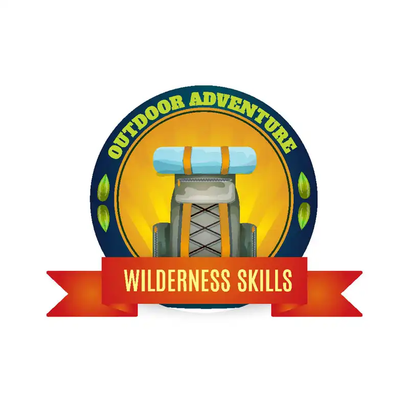 برچسب بدنه خودرو رایسان طرح camping کد st0129