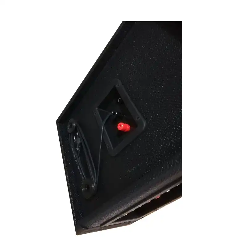 اکو پرتابل برین صوت مدل 2660W به همراه میکروفن بی سیم