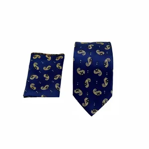 ست کراوات و دستمال جیب مردانه آریوان مدل بته جقه کد BT9904