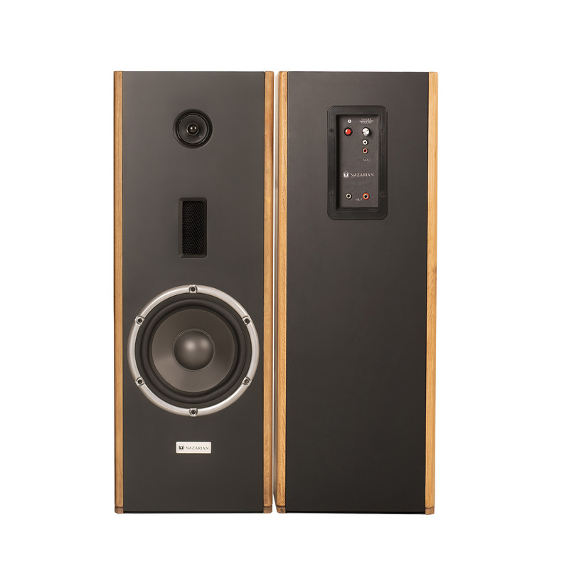 پخش کننده خانگی نظریان الکترونیک مدل A101