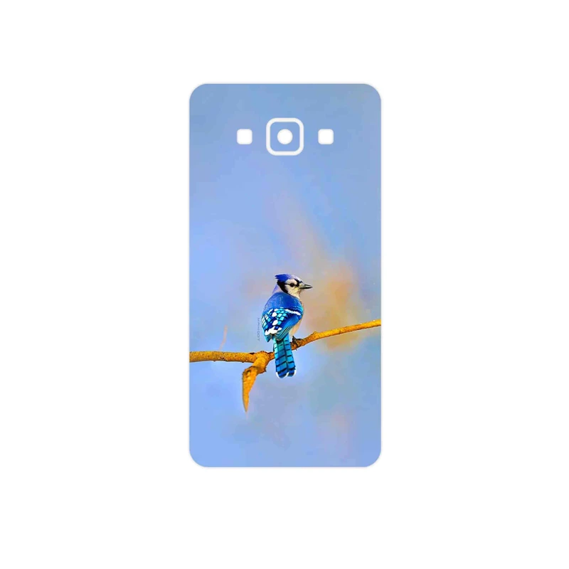 برچسب پوششی ماهوت مدل Cyanocitta cristata مناسب برای گوشی موبایل سامسونگ Galaxy A5 2015