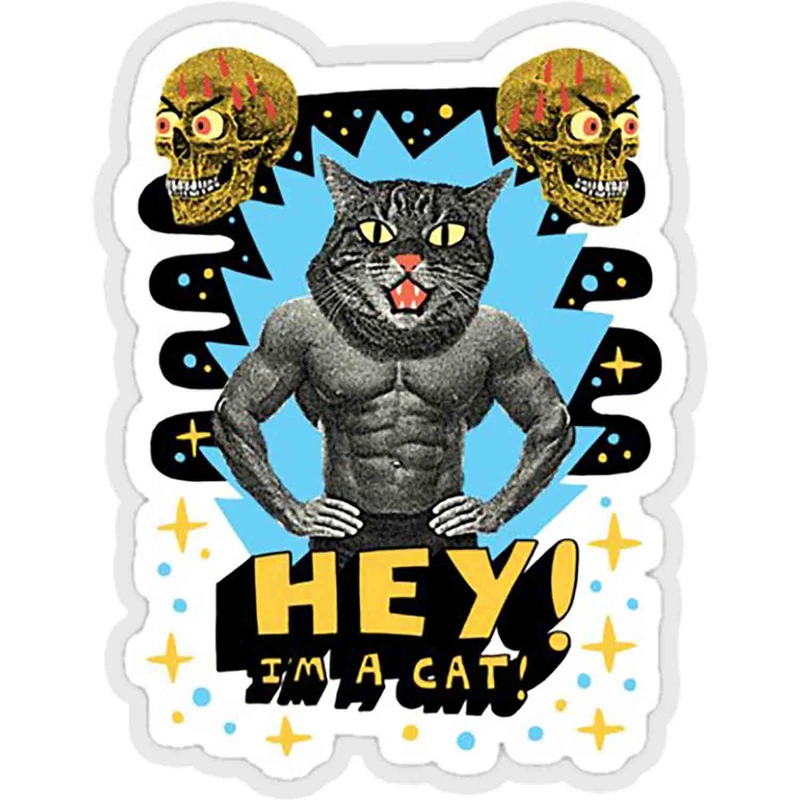 استیکر لپ تاپ طرح hey! i am a cat کد ST865