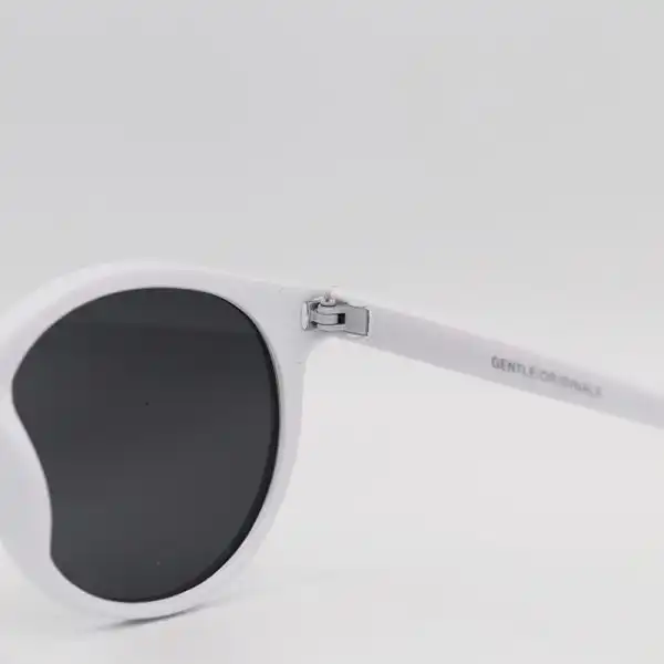 عینک آفتابی مدل Z3289 - Fs