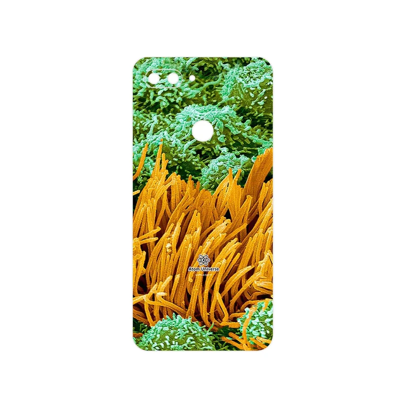 برچسب پوششی ماهوت مدل Atom Universe 6 مناسب برای گوشی موبایل شیائومی Mi 8 Lite