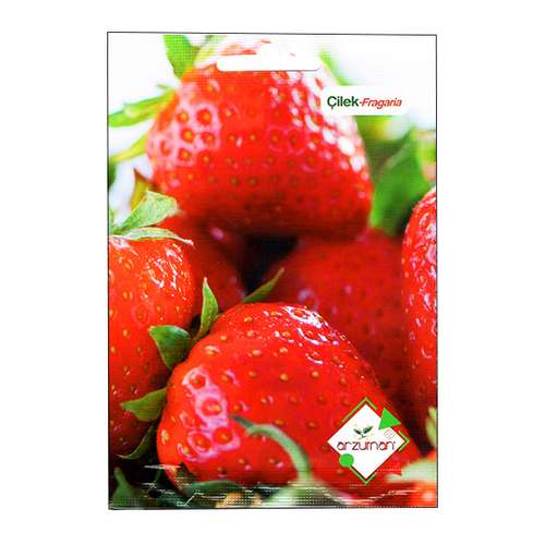 بذر توت فرنگی آرزومان کد 11659