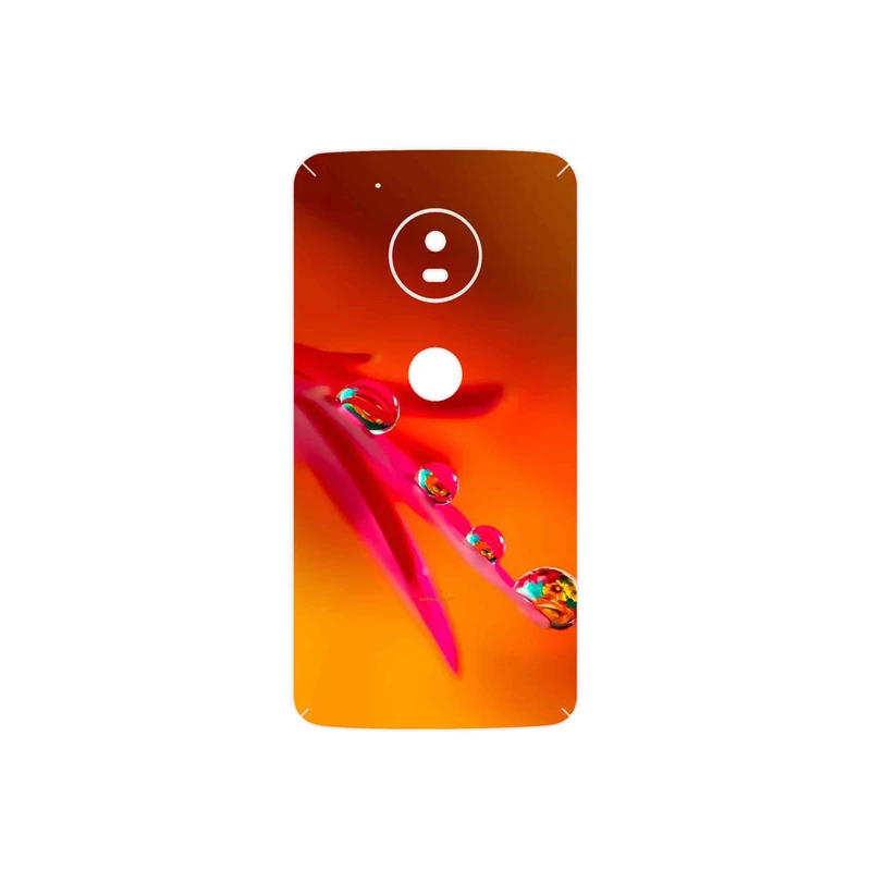 برچسب پوششی ماهوت مدل Plant dew مناسب برای گوشی موبایل موتورولا Moto G5