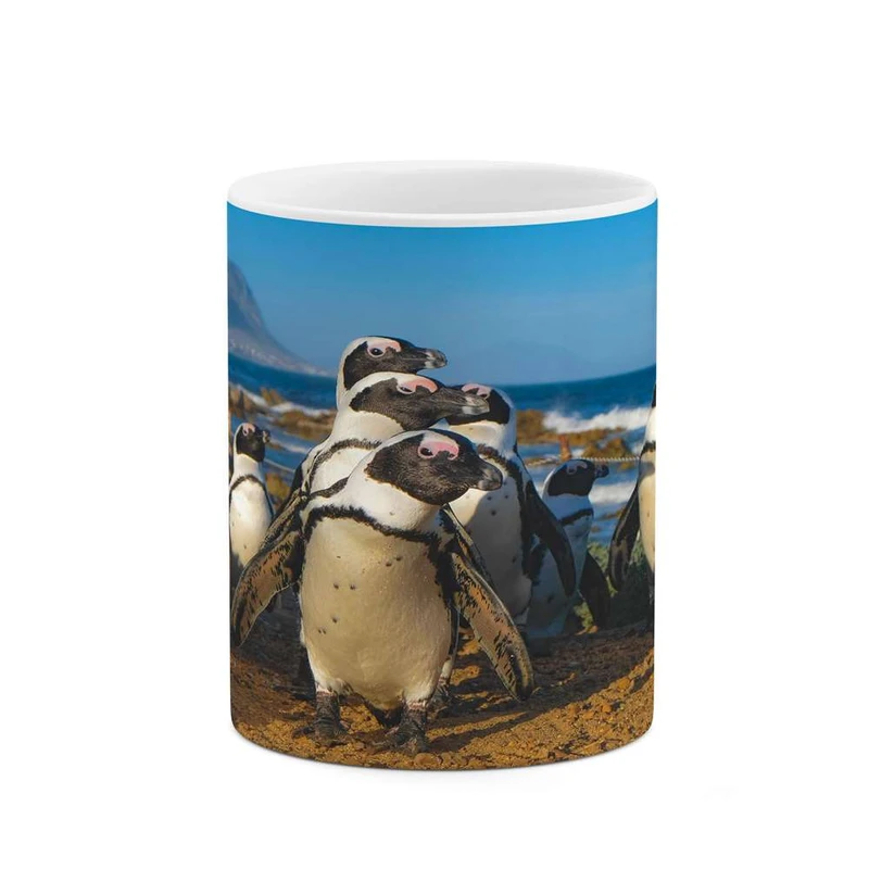 ماگ کاکتی مدل پنگوئن کد mgh16858