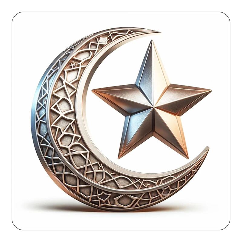 مگنت کاکتی طرح ماه و ستاره مدل mp54218