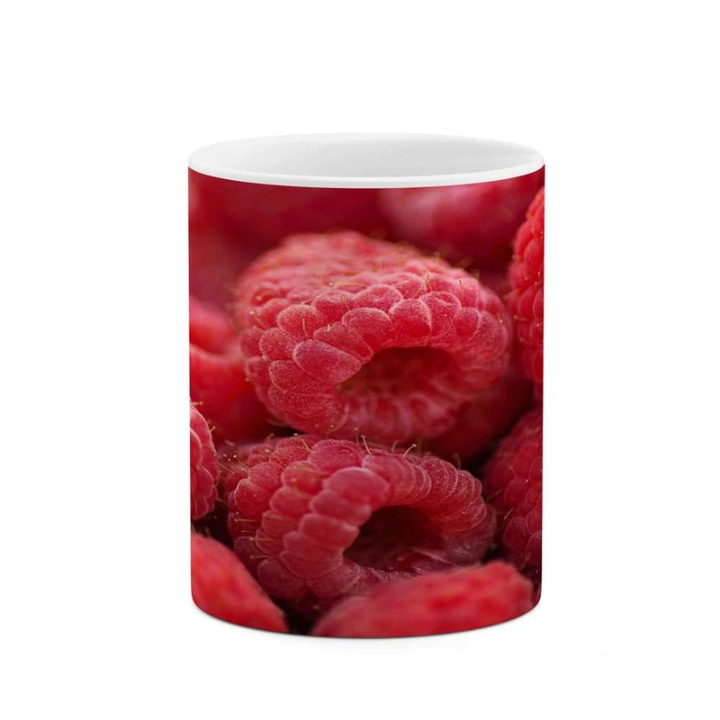 ماگ کاکتی مدل تمشک کد mgh16807