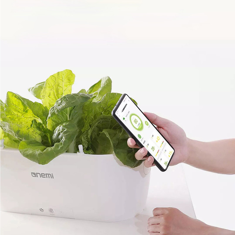 گلدان هوشمند وان می مدل YMT-20201