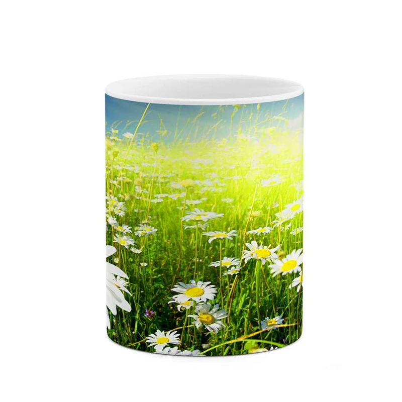 ماگ کاکتی مدل گل کد mgh12194