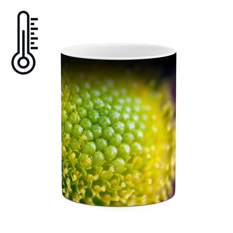 ماگ حرارتی کاکتی مدل گل کد mgh12076