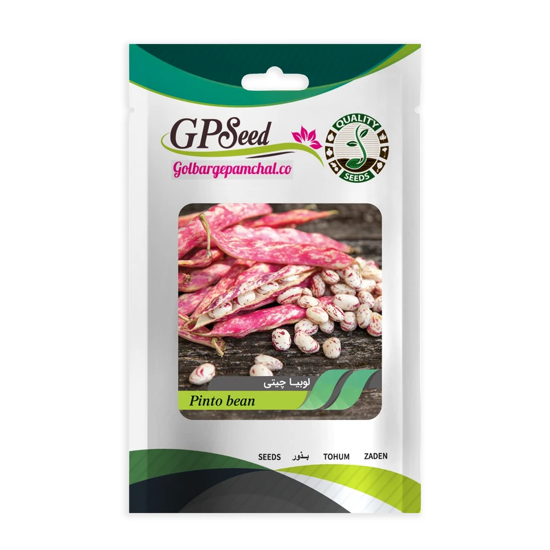 بذر لوبیا چیتی گلبرگ پامچال کد GPF-131